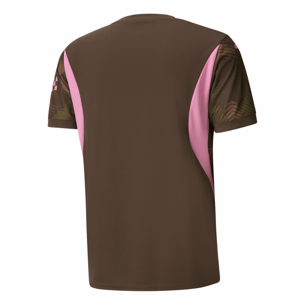 Manchester City Goalkeeper Soccer Jersey 2024/25 Brown