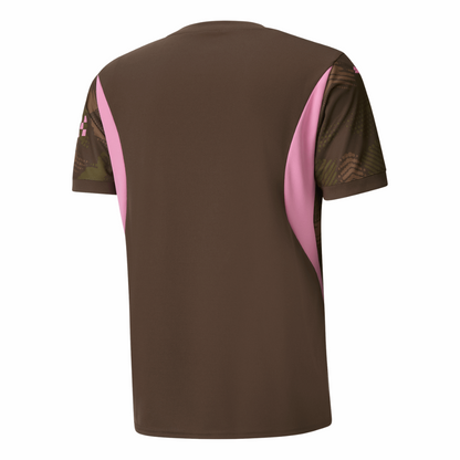Manchester City Goalkeeper Soccer Jersey 2024/25 Brown