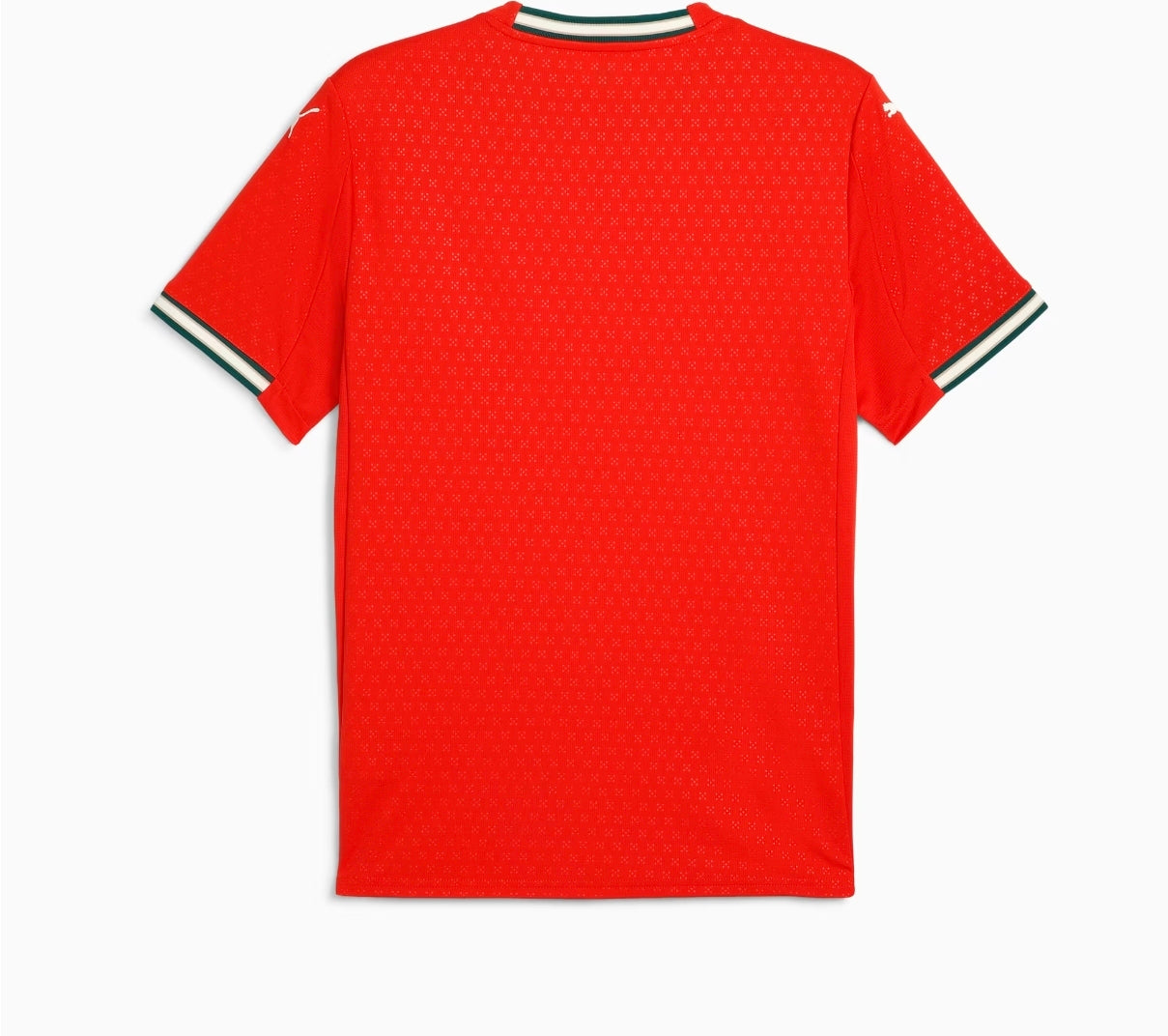 (Ready To Ship) Portugal Home 2025