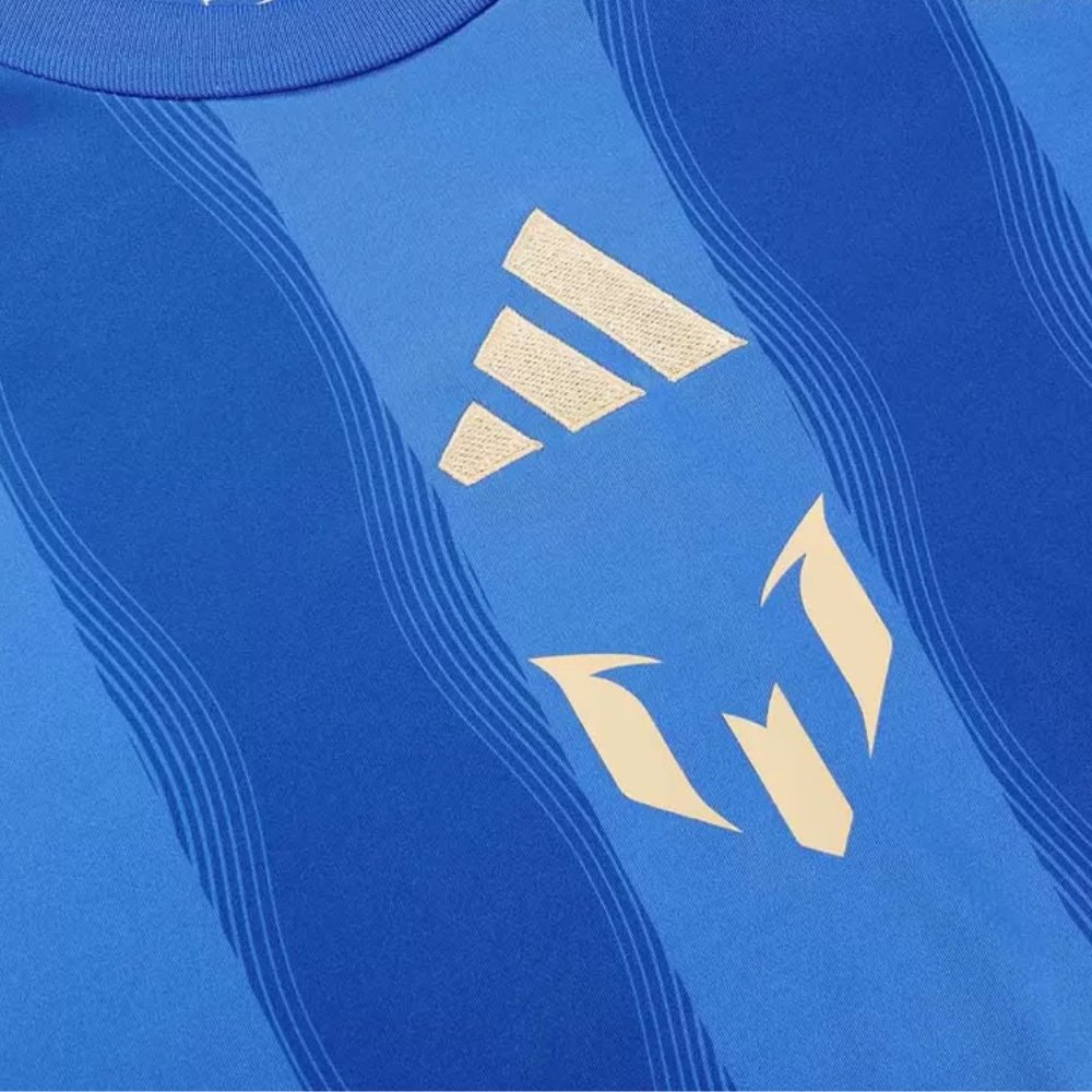 Argentina Pitch 2 Street Training Soccer Jersey 2024 Blue