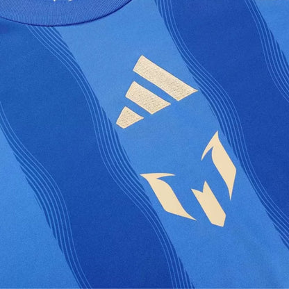 Argentina Pitch 2 Street Training Soccer Jersey 2024 Blue