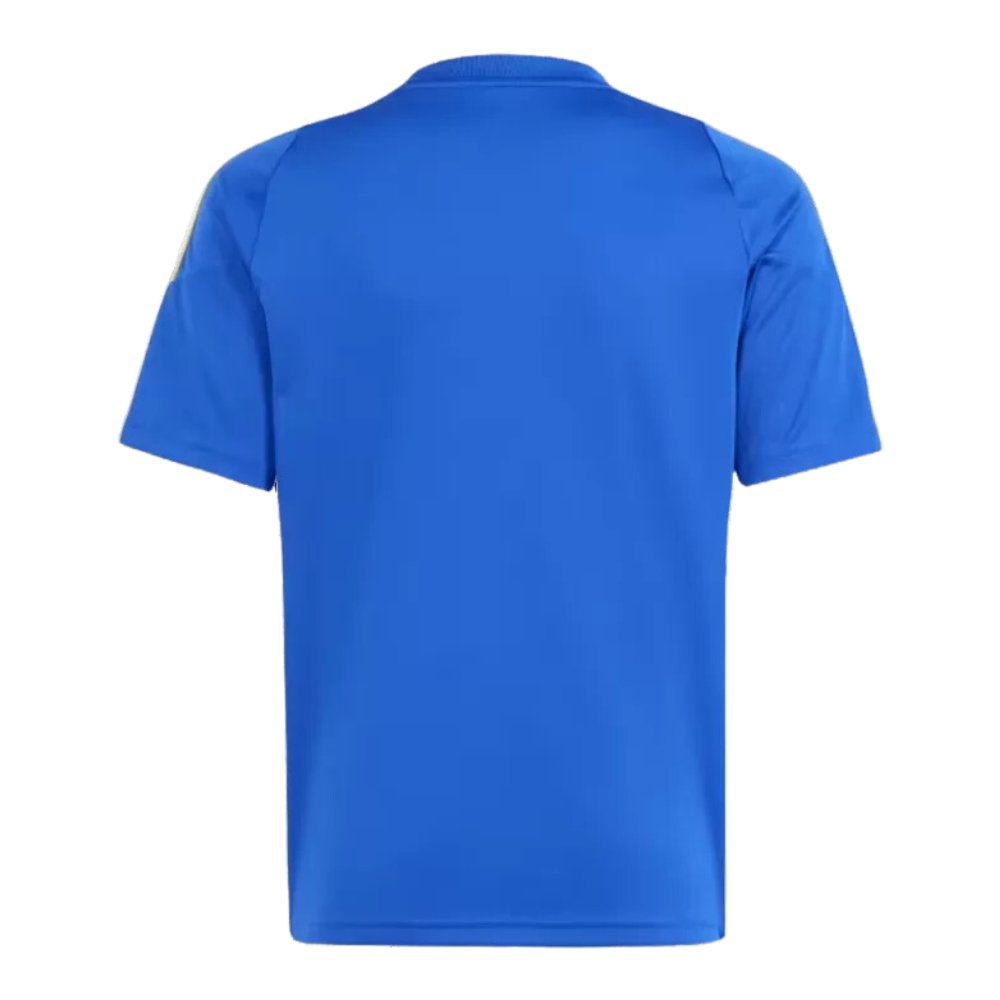 Argentina Pitch 2 Street Training Soccer Jersey 2024 Blue