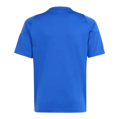 Argentina Pitch 2 Street Training Soccer Jersey 2024 Blue