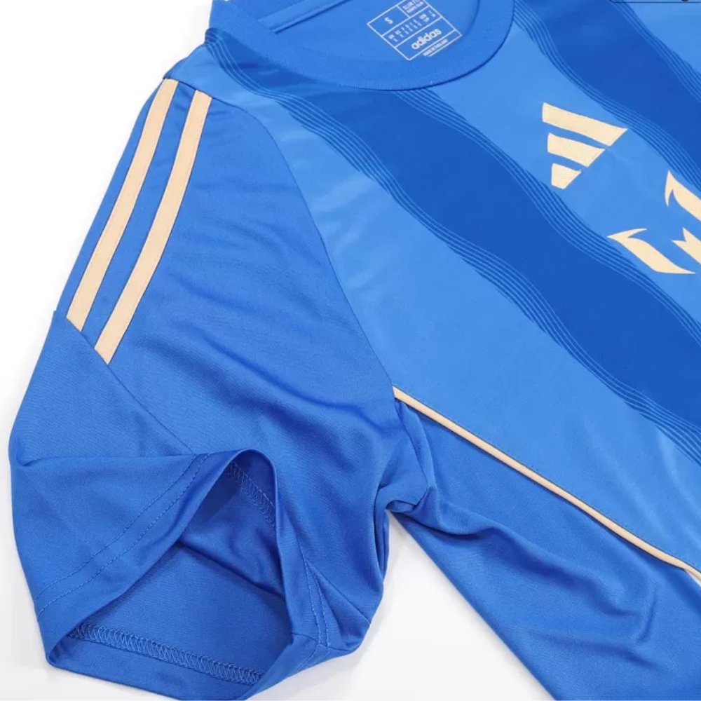 Argentina Pitch 2 Street Training Soccer Jersey 2024 Blue