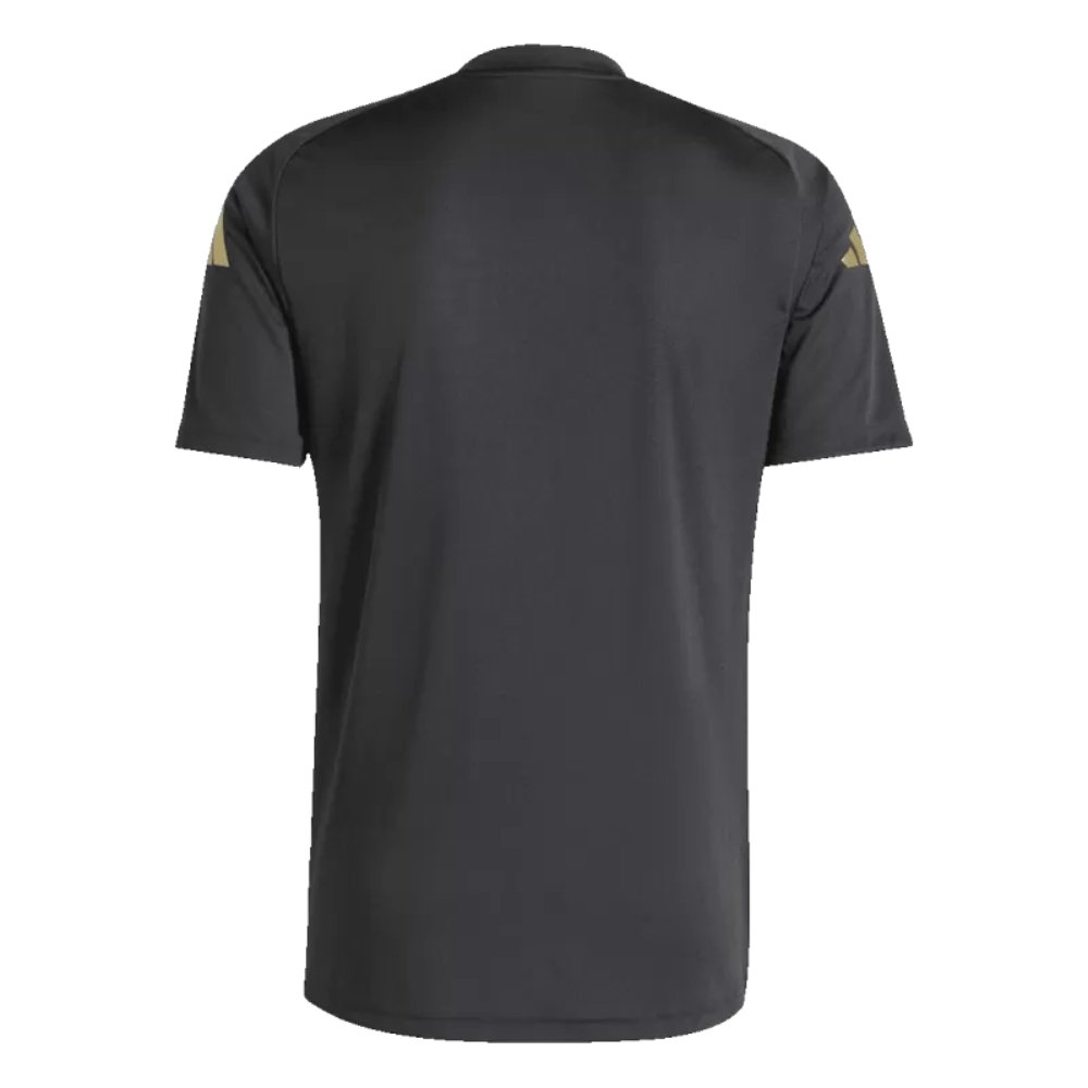 Argentina Pre-Match Soccer Jersey Copa America 2024