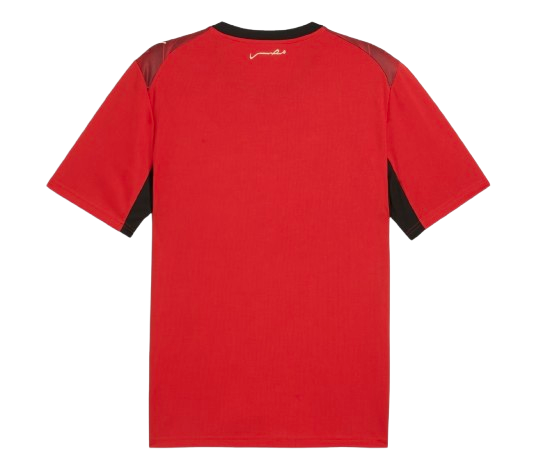 (Ready To Ship) Egypt FIFA World Cup Home Jersey 2026